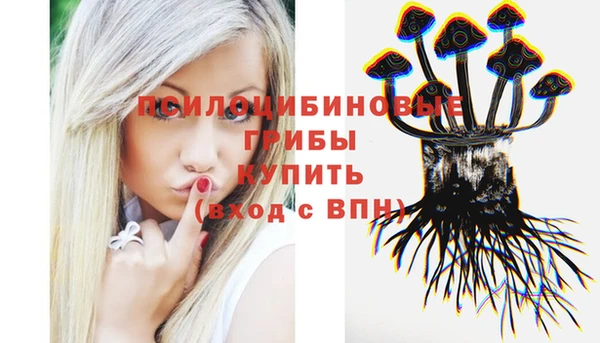 гашик Киреевск