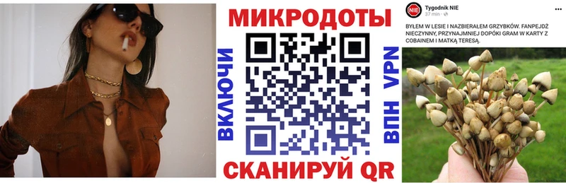 Псилоцибиновые грибы Psilocybine cubensis  Купить закладки  Южно-Сахалинск 